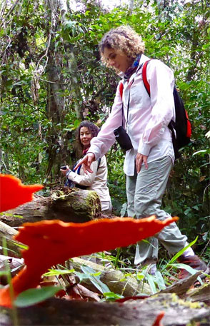 Women's Travel Club Amazon Rainforest Adventure