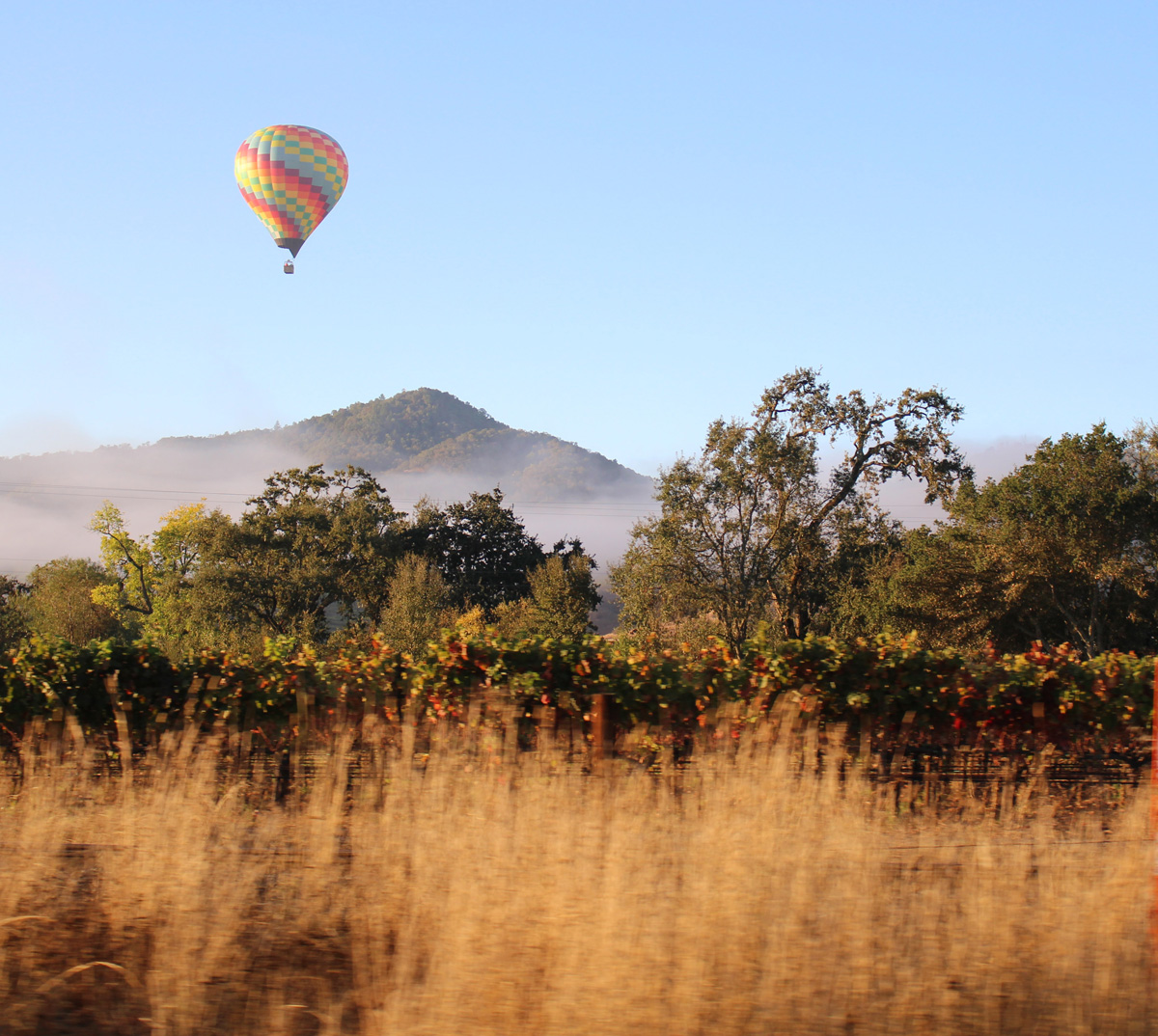 Women's Travel Club California Wine Country Tour - Napa Valley Hot Air Balloon