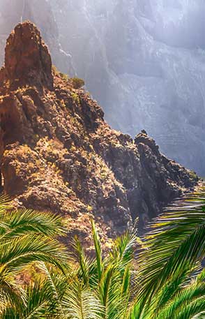 Women's Travel Club Canary Islands Hiking Experience