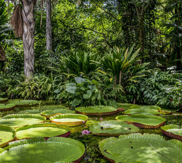 Women's Travel Club Ecuador Adventure - Amazon Jungle