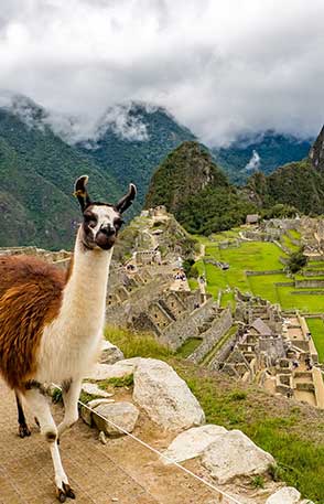 Women's Travel Club Essential Machu Picchu Tour