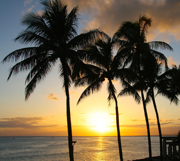 Women's Travel Club Hawaii Tour & Cruise - Honolulu