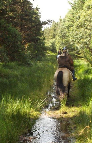 Ireland Riding Experience