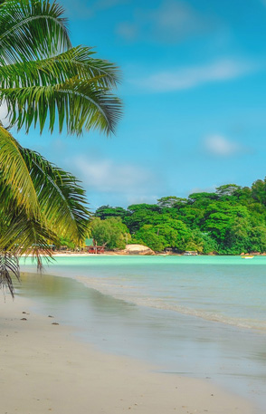 Women's Travel Club Seychelles Getaway
