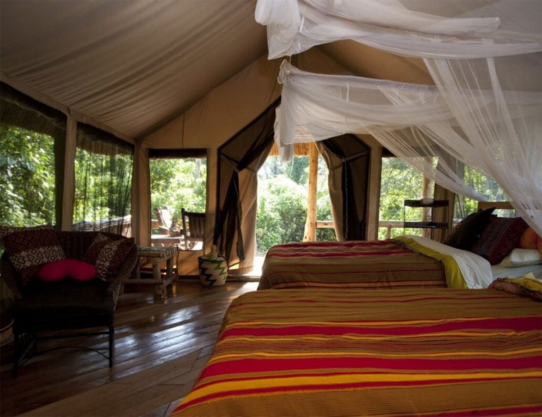 Women's Travel Club Uganda & Rwanda Gorilla Trek & Safari