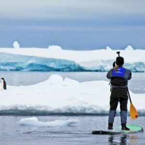 Antarctic Stand UP Paddleboarding